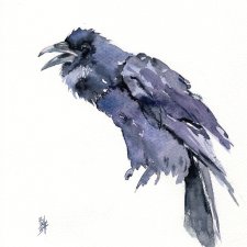 Oryginalna akwarela. Kruk