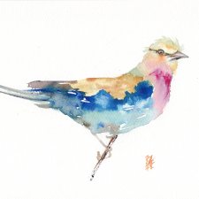 Oryginalna akwarela. Kraska