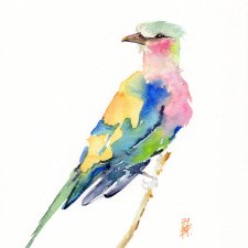 Oryginalna akwarela. Kraska