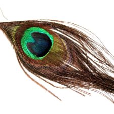 PAWIE pióro efektowny długi  kolczyk