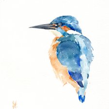 Oryginalna akwarela. Zimorodek