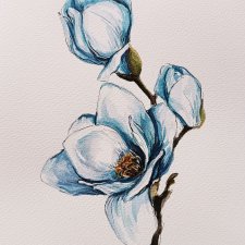 Magnolia