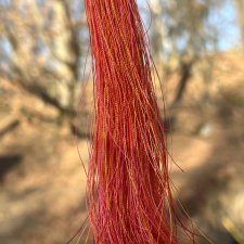 Żyj po swojemu I - kolczyki