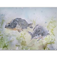 Obraz ręcznie malowany "Karp" + rama