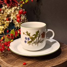 Niemiecka porcelana filiżanka i spodek Eversberg Botanica