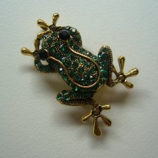 BROSZKA ZAWIESZKA ŻABKA