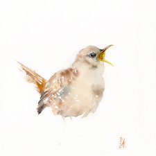 Oryginalna akwarela. Szczygieł