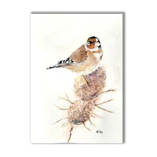 Akwarela ręcznie malowana  "Szczygieł" ptak