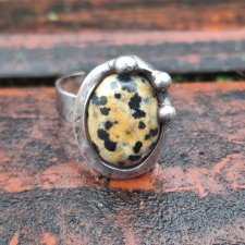 Dalmatyńczyk - pierścionek regulowany