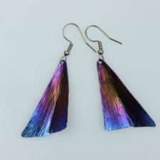 kolczyki tytanowe "argo"