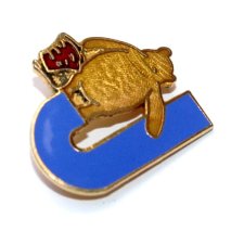 DISNEY KUBUŚ PUCHATEK broszka literka J