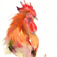 Oryginalna akwarela. Kogut