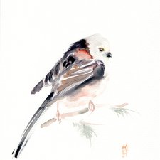 Oryginalna akwarela. Raniuszek