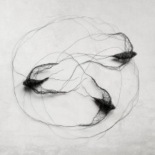 Instalacja z metalu - ptaki w kole I