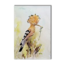 Akwarela ręcznie malowana  "Dudek" ptaki
