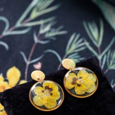 "Złoty Bratek" – kolczyki z prawdziwymi kwiatami