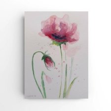 Maki 3- obraz  akwarela