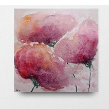 Maki- obraz  akwarela