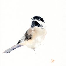 Oryginalna akwarela. Sikora uboga