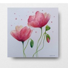 Maki- obraz  akwarela