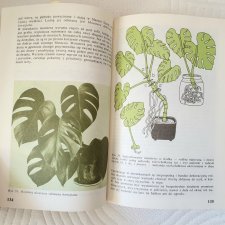 Książka "Rośliny ozdobne w mieszkaniu i na balkonie" Izabela Kiljańska