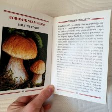 "Kieszonkowy atlas grzybów". Autor: Jozef Sirek Książka