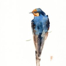 Oryginalna akwarela. Jaskółka