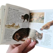 Książka vintage "Koty" miniencyklopedia David Alderton