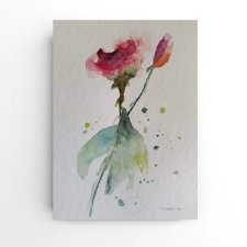 Róże  -  akwarela