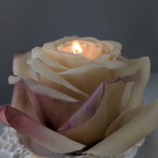 Świeca kwiat róży