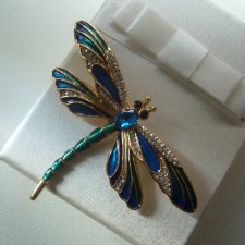 EMALIOWANA BROSZKA WAŻKA