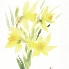 Oryginalna akwarela. Żonkile