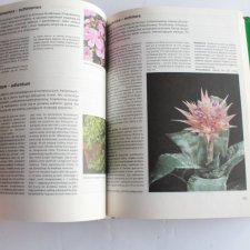 Książka vintage Mieszkamy wśród kwiatów - Margot Schubert, Rob Herwig