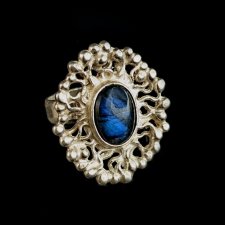 LABRADORYT W SREBRNYCH GAŁĄZKACH