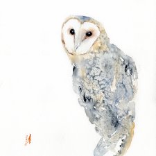 Oryginalna akwarela. Płomykówka