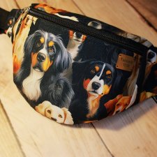 Nerka golden retriever appenzeller berneński L