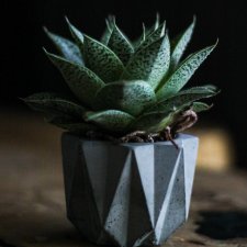 Doniczka betonowa geometryczna 7x7 cm – minimalistyczna, ręcznie wykonana | AURECON