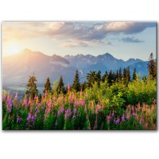 Obraz na płótnie - 100x70 cm Tatry (1-0724)