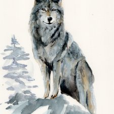 Obraz ręcznie malowany "Wilk"+rama