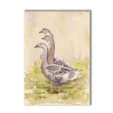 Gęsi. Akwarela ręcznie malowana