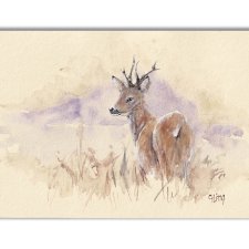 Sarna. Akwarela ręcznie malowana