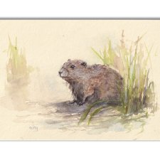Świstak/ Bóbr. Akwarela ręcznie malowana