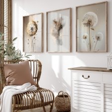 ZESTAW PLAKATÓW 30x40 cm, dmuchawce z abstrakcją  (set251)