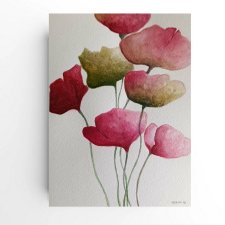 Maki- obraz  akwarela