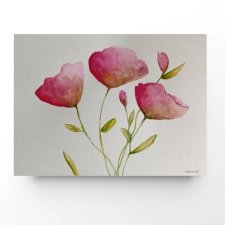 Maki- obraz  akwarela