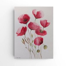 Maki- obraz  akwarela