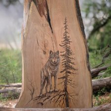 Wilk - pirografia na desce z jabłoni