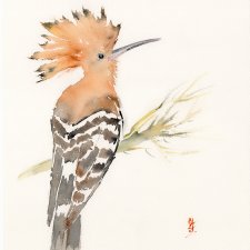 Oryginalna akwarela. Dudek