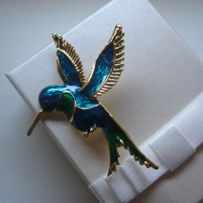 BROSZKA PTAK KOLIBER