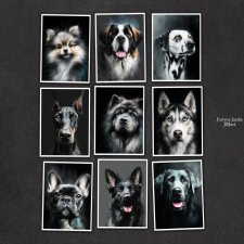 Psie portrety - zestaw 9 grafik 15x21 cm